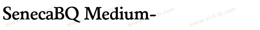 SenecaBQ Medium字体转换